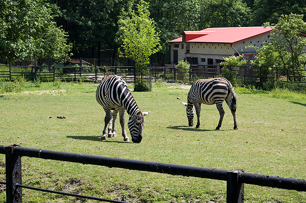 slaski ogrod zoologiczny