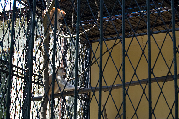 slaski ogrod zoologiczny