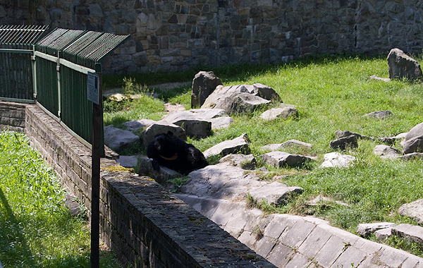 slaski ogrod zoologiczny