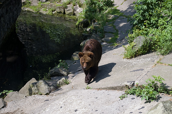 slaski ogrod zoologiczny
