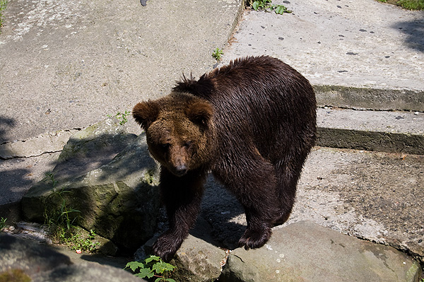 slaski ogrod zoologiczny