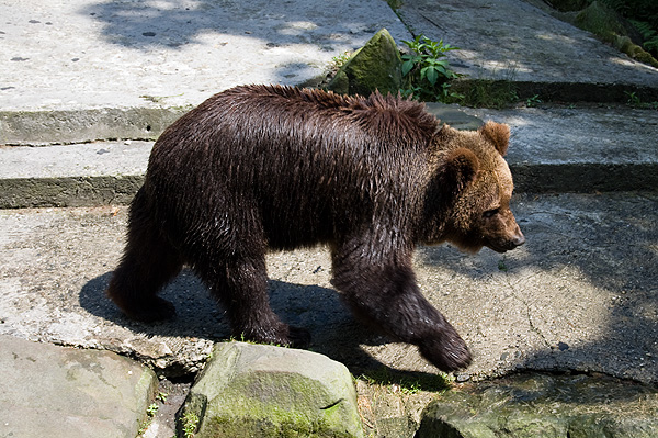 slaski ogrod zoologiczny