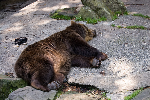 slaski ogrod zoologiczny