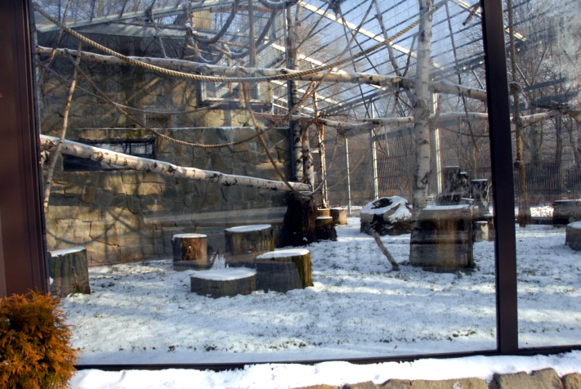 Slaski Ogrod Zoologiczny