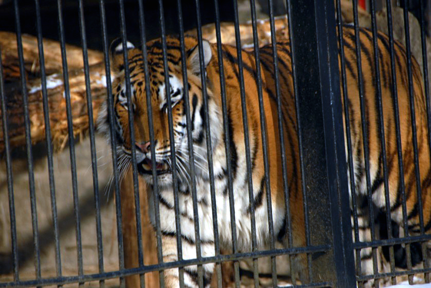 Slaski Ogrod Zoologiczny
