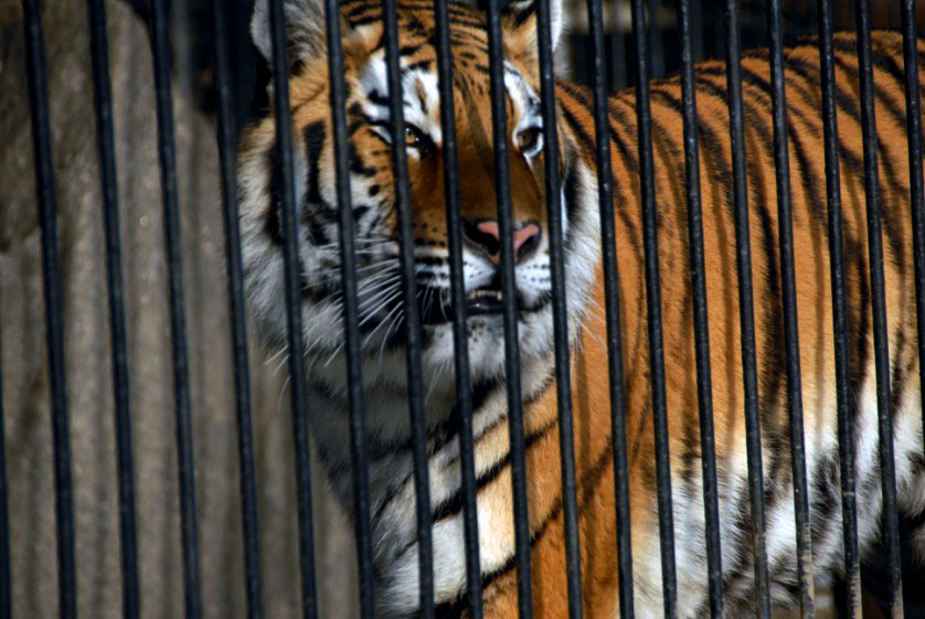 Slaski Ogrod Zoologiczny