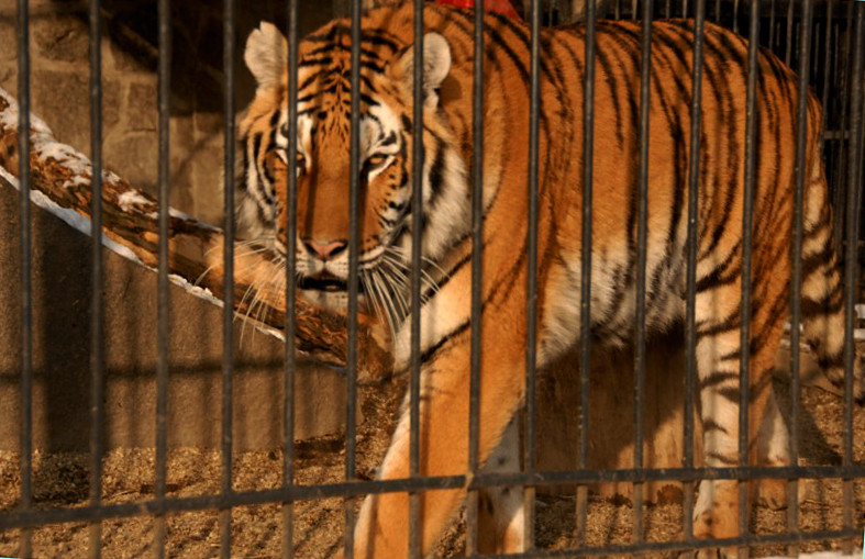 Slaski Ogrod Zoologiczny