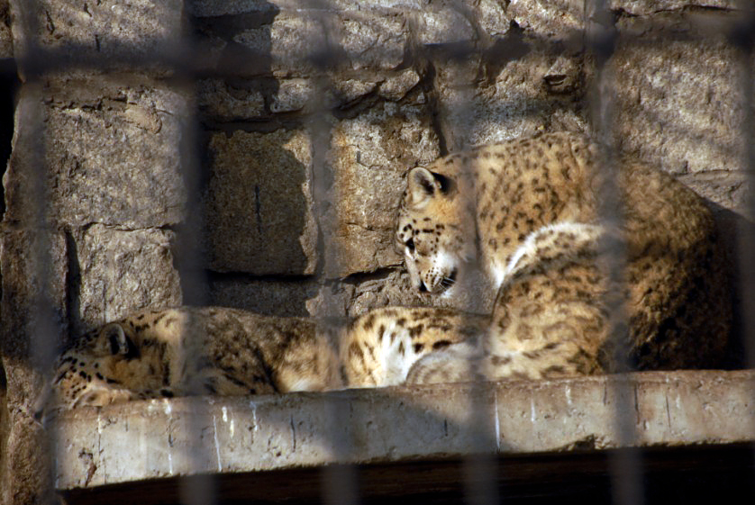 Slaski Ogrod Zoologiczny