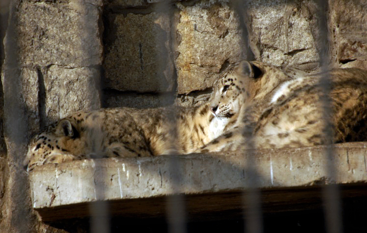 Slaski Ogrod Zoologiczny