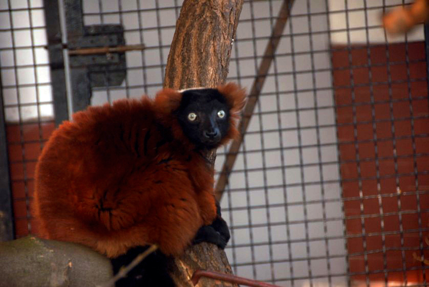 Slaski Ogrod Zoologiczny