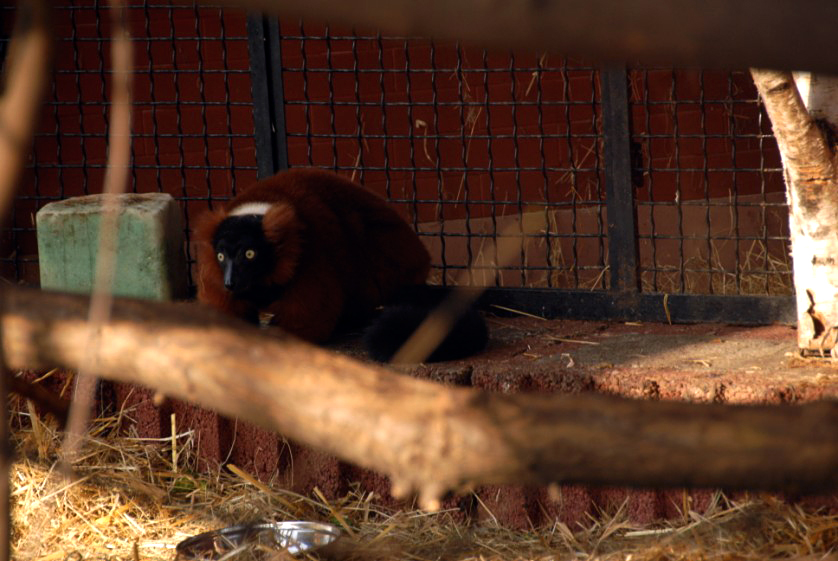 Slaski Ogrod Zoologiczny