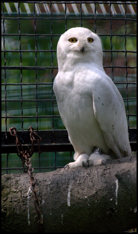 Slaski Ogrod Zoologiczny