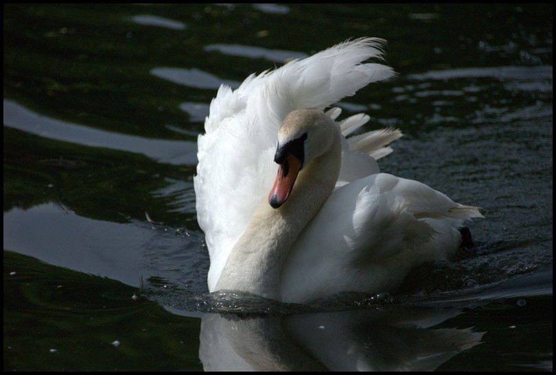 Slaski Ogrod Zoologiczny