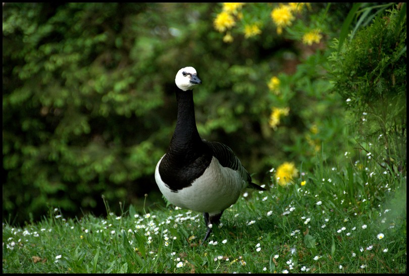 Slaski Ogrod Zoologiczny