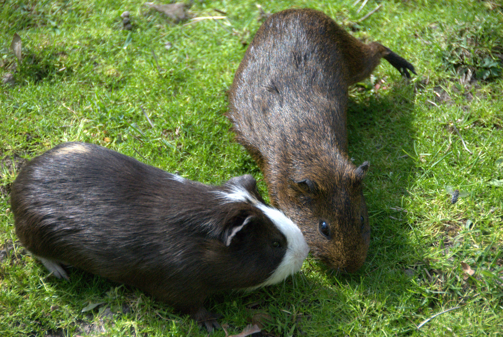 Slaski Ogrod Zoologiczny