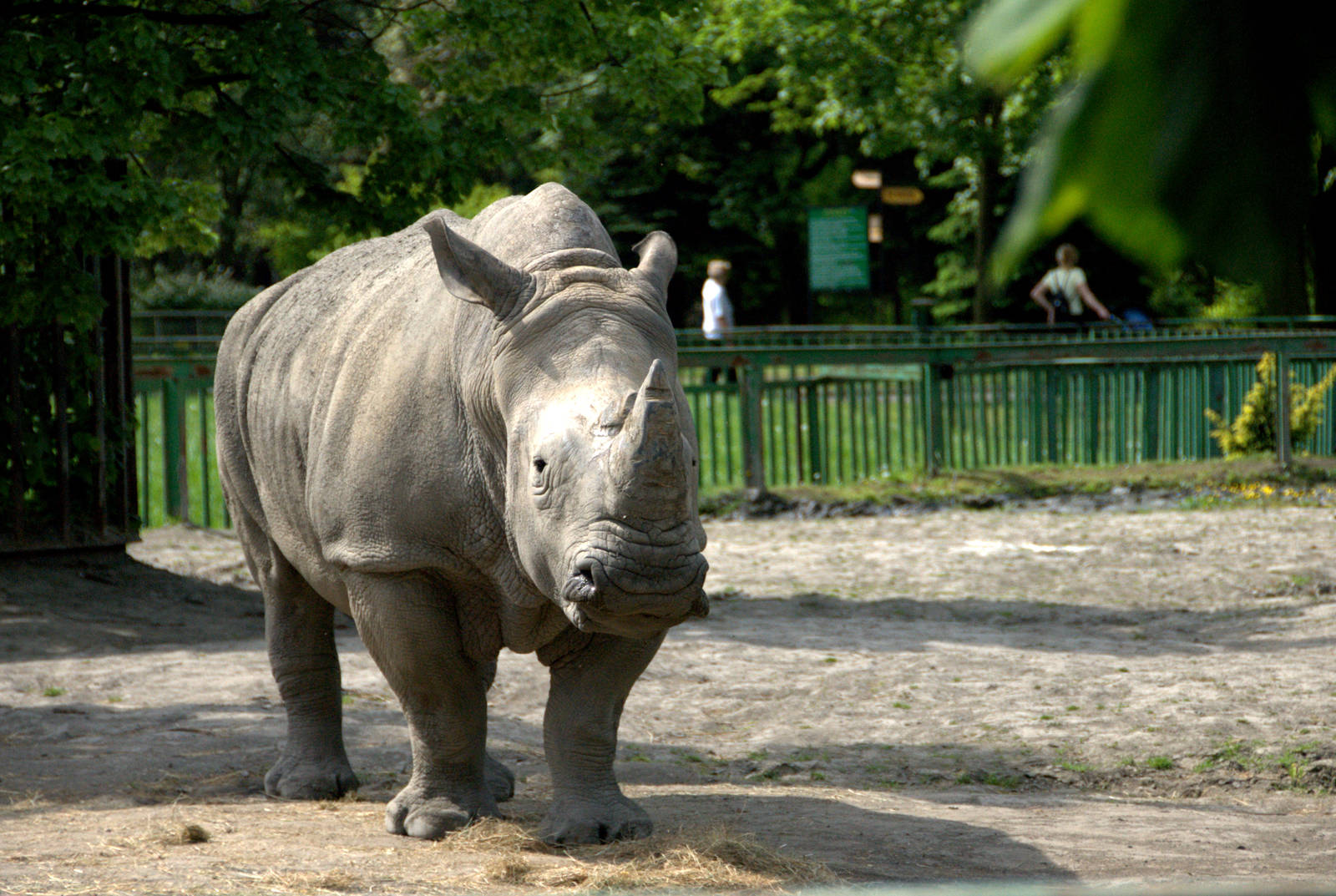 Slaski Ogrod Zoologiczny