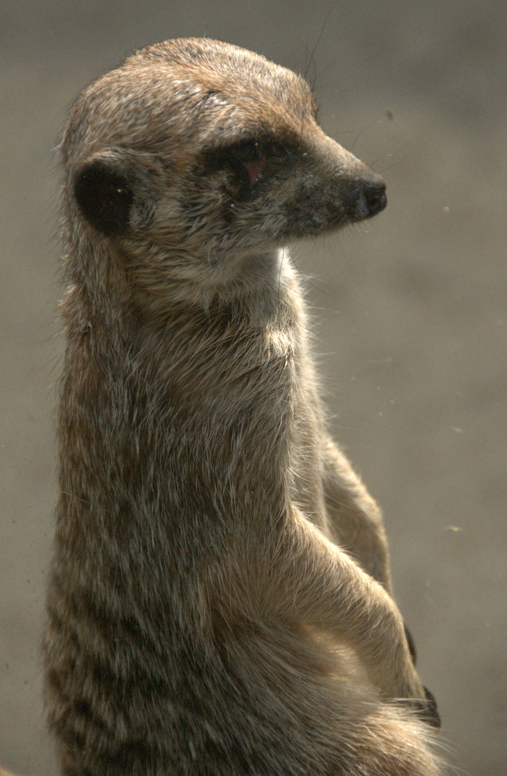 Slaski Ogrod Zoologiczny