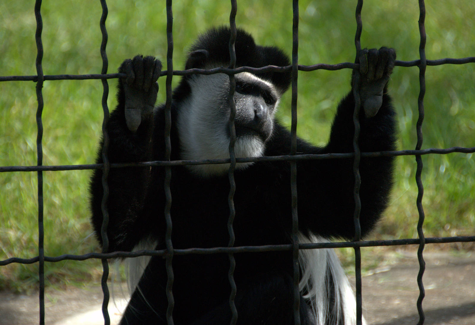 Slaski Ogrod Zoologiczny