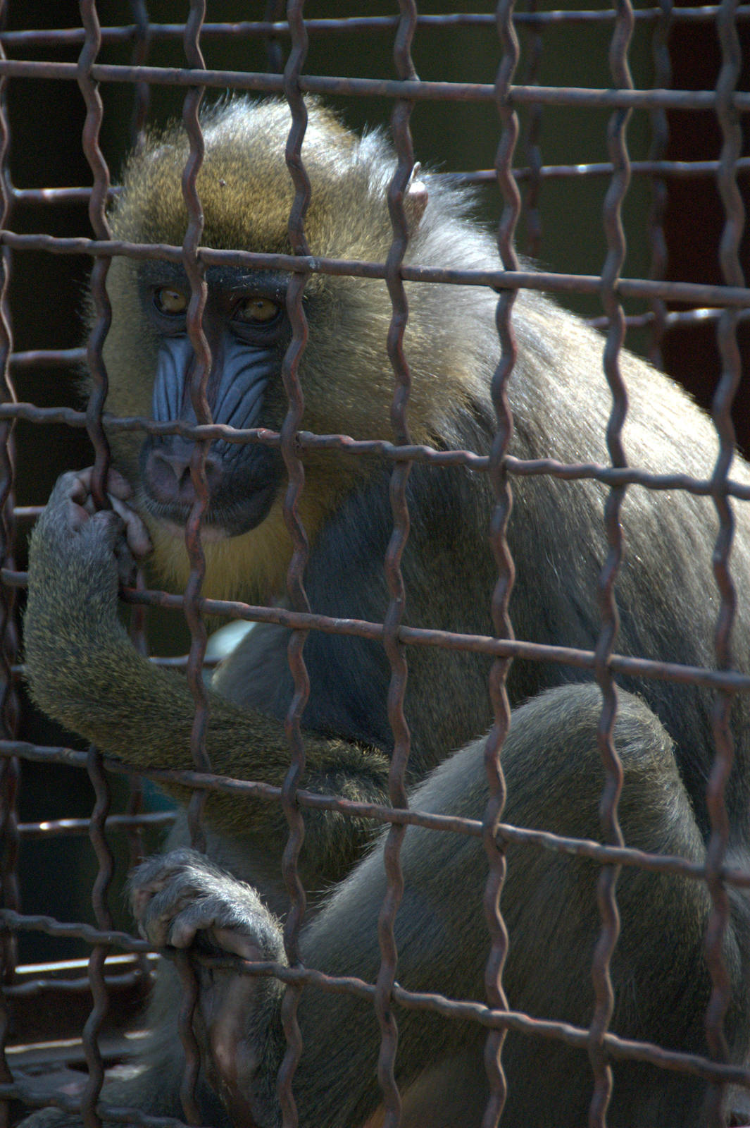 Slaski Ogrod Zoologiczny