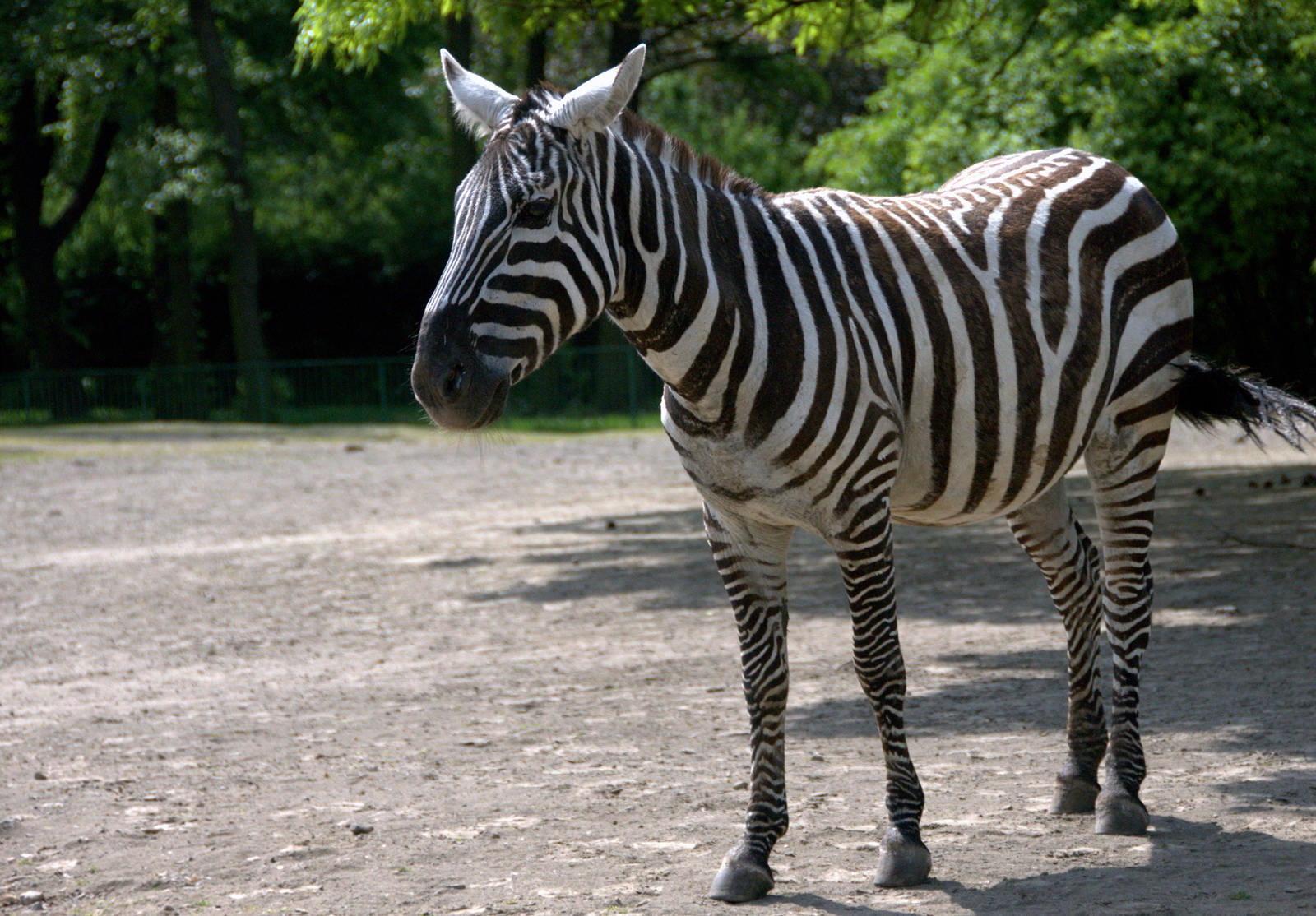 Slaski Ogrod Zoologiczny