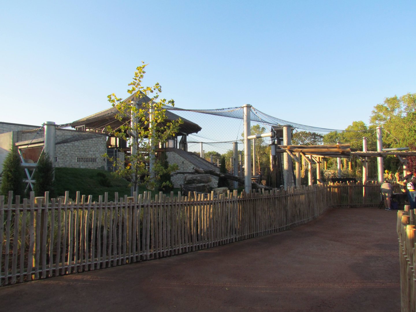 Slawson Family Big Cat Trek