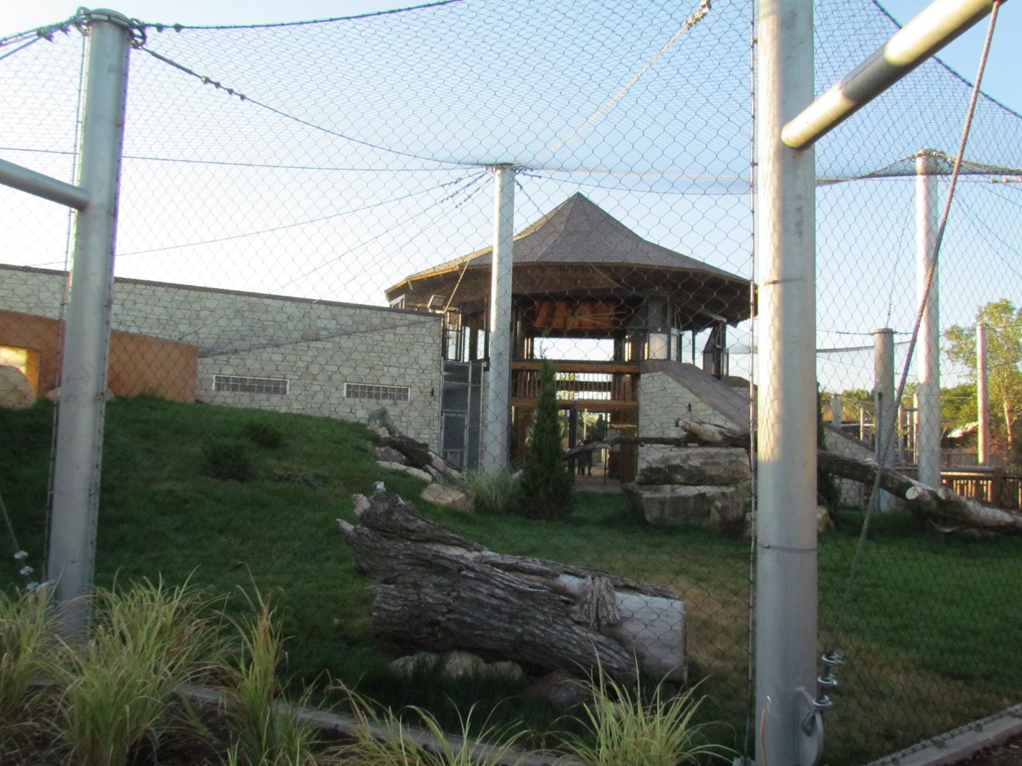 Slawson Family Big Cat Trek