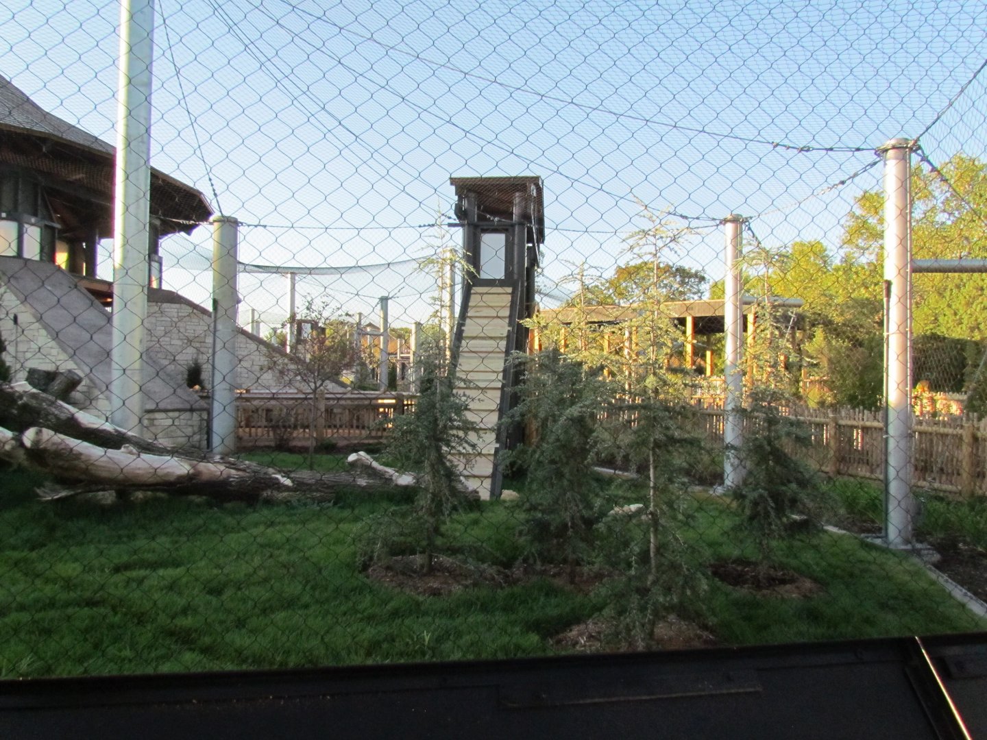 Slawson Family Big Cat Trek