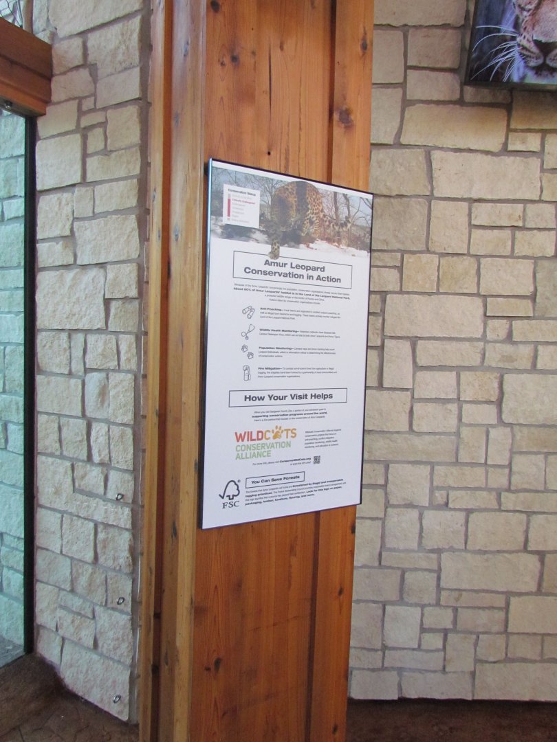 Slawson Family Big Cat Trek