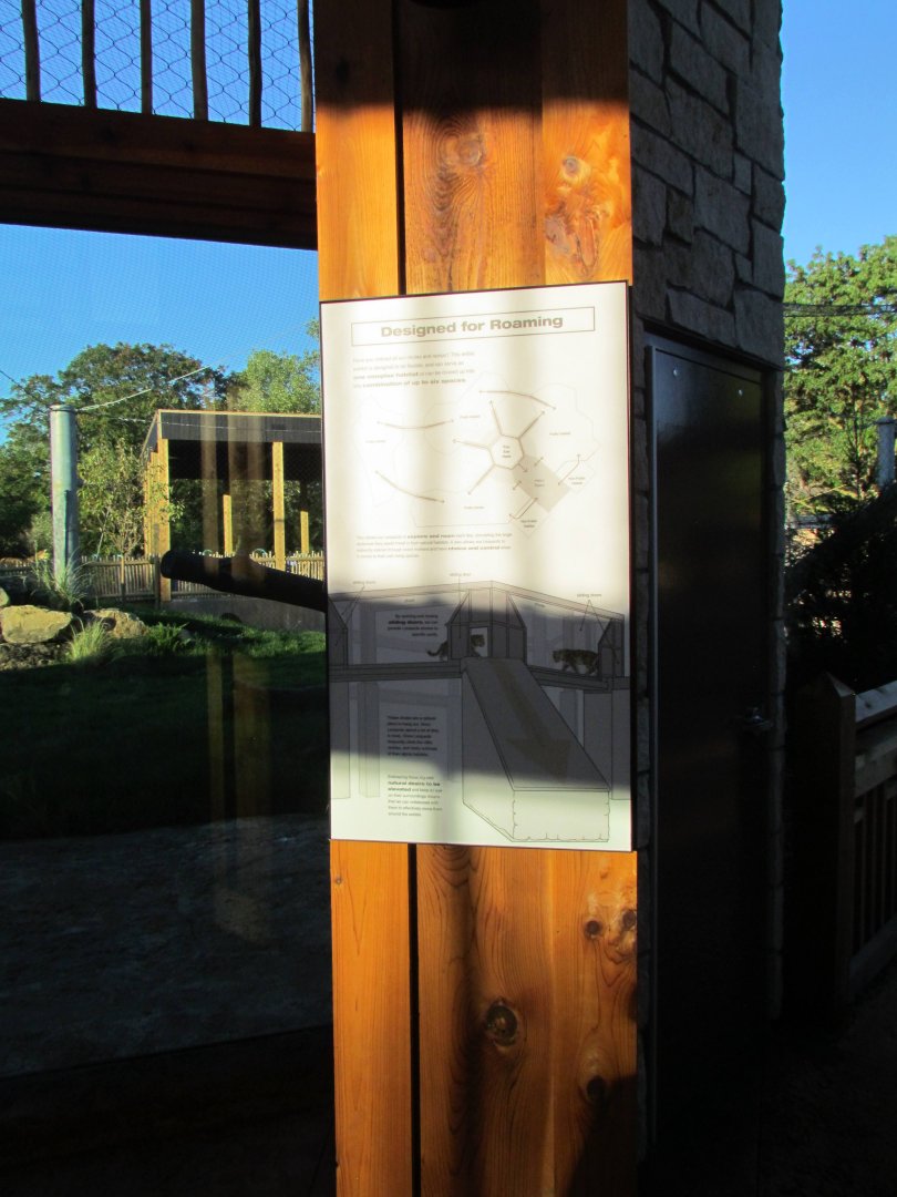 Slawson Family Big Cat Trek