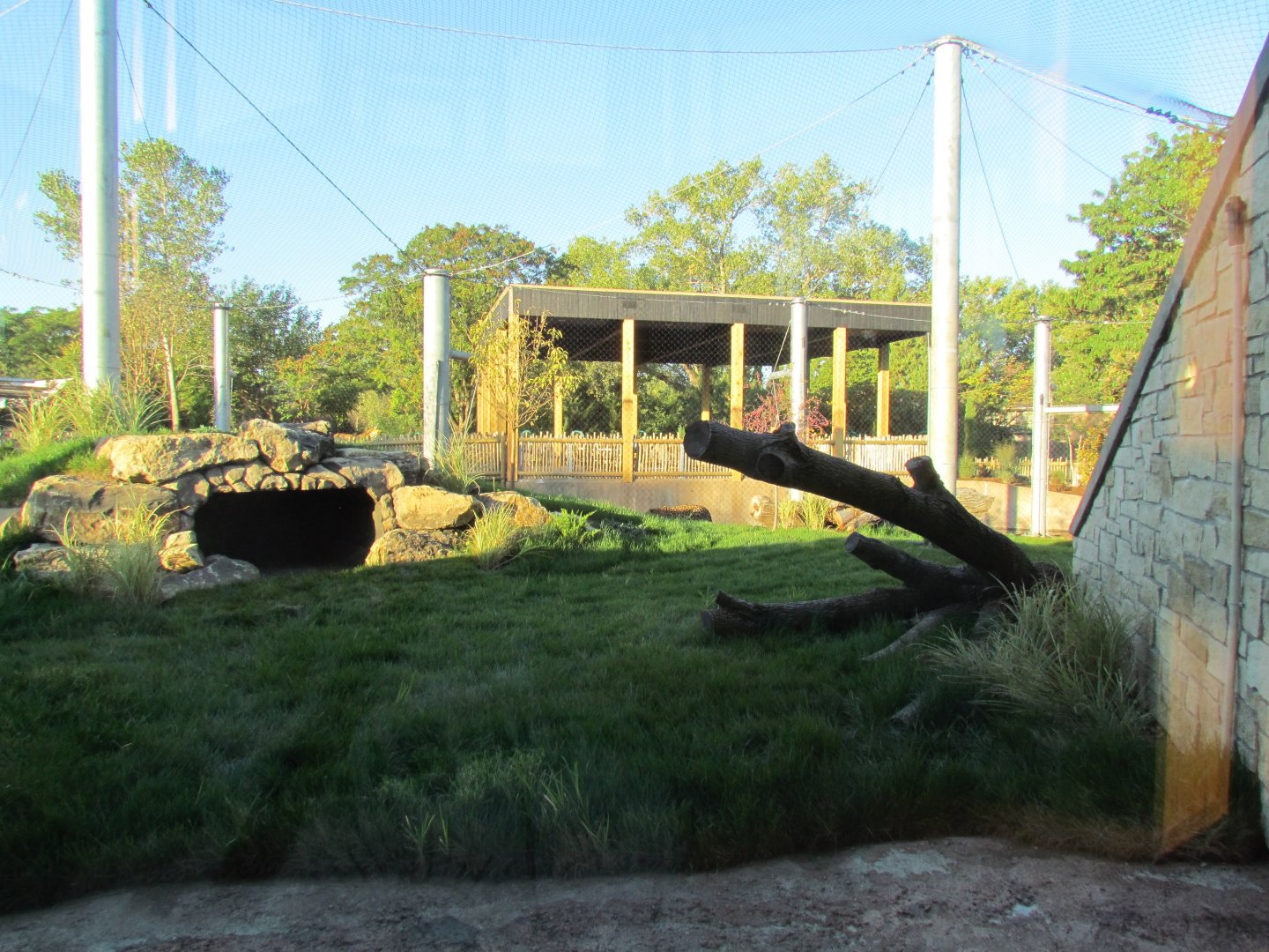 Slawson Family Big Cat Trek