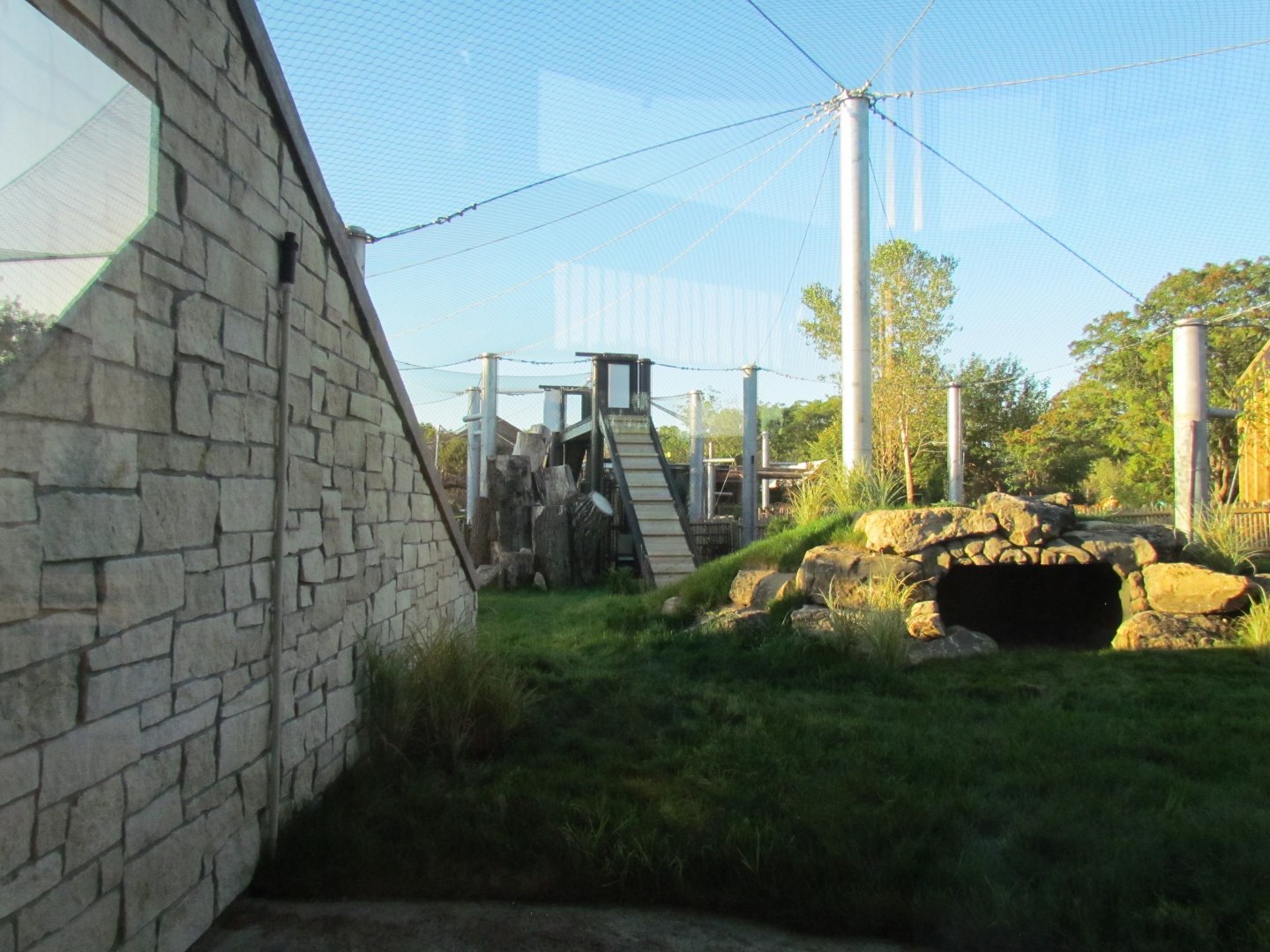 Slawson Family Big Cat Trek