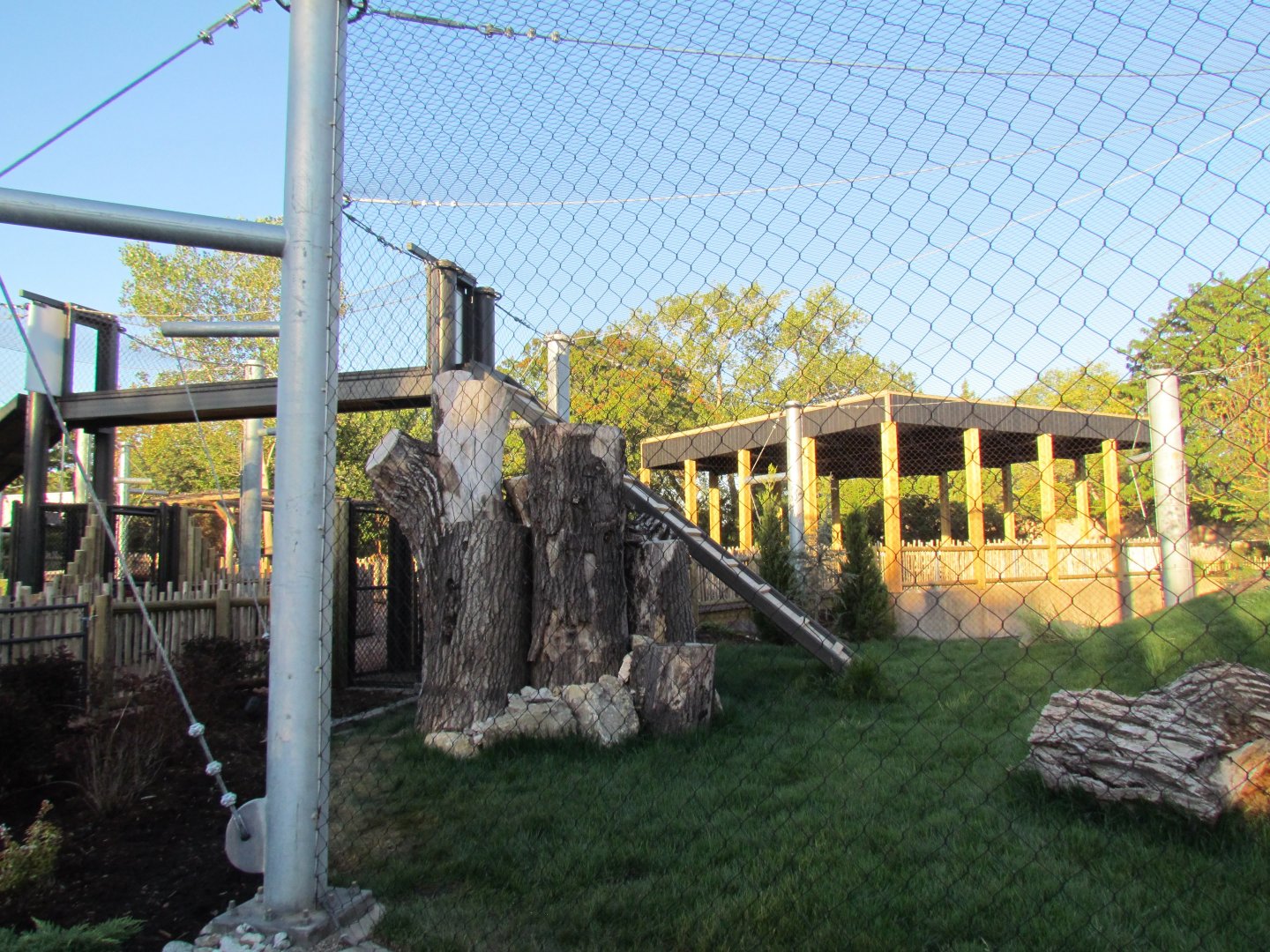 Slawson Family Big Cat Trek