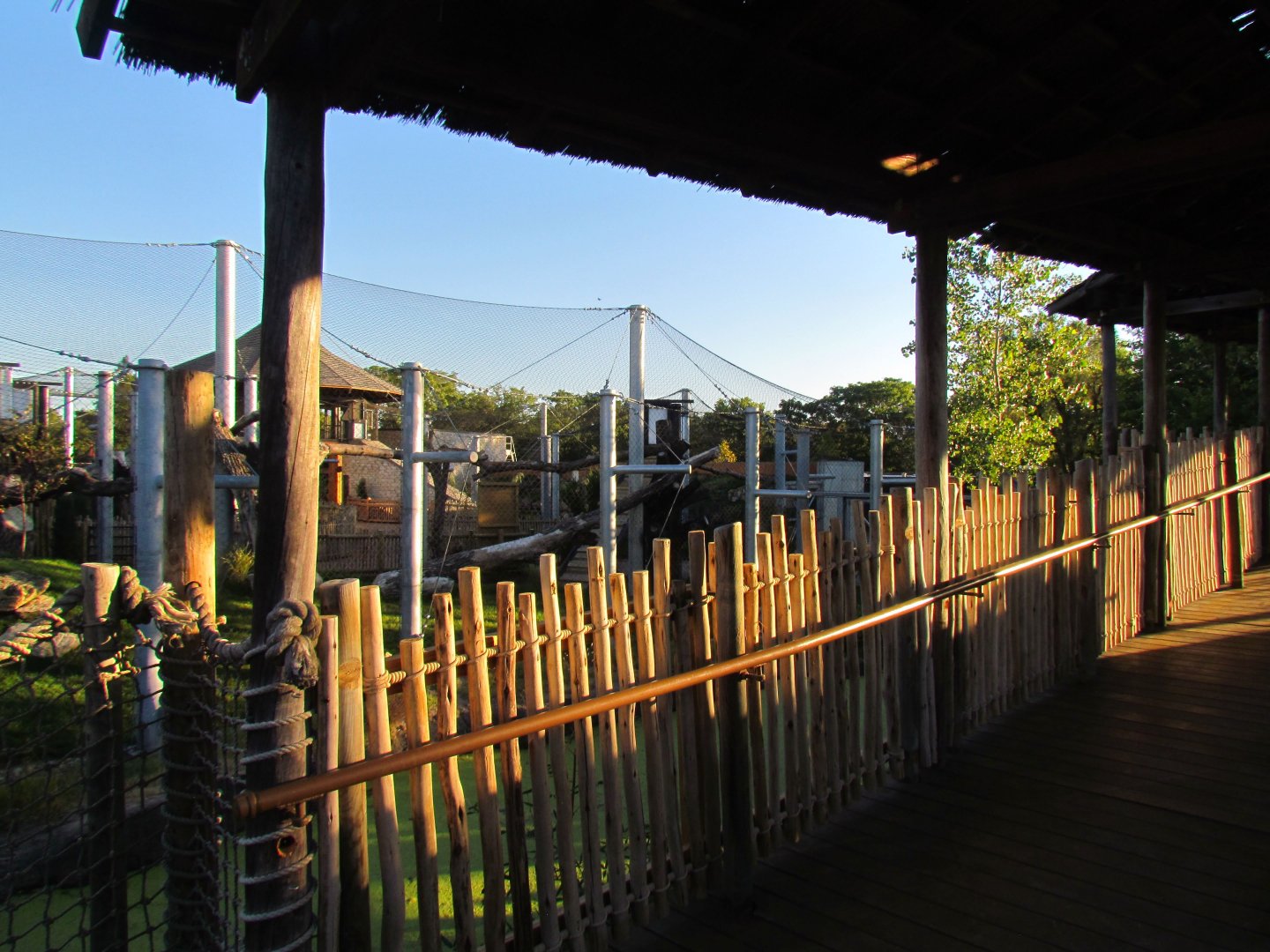 Slawson Family Big Cat Trek