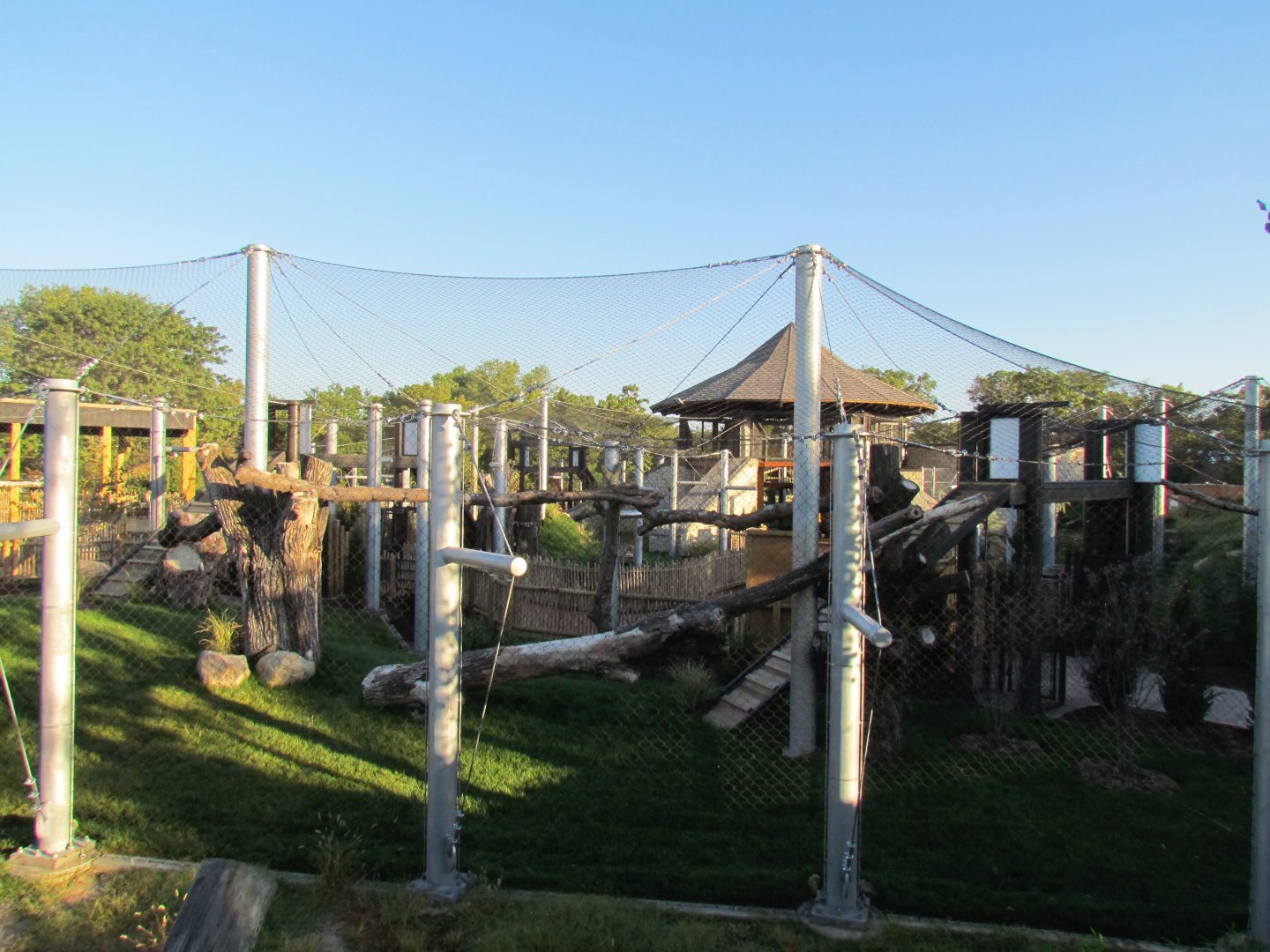 Slawson Family Big Cat Trek