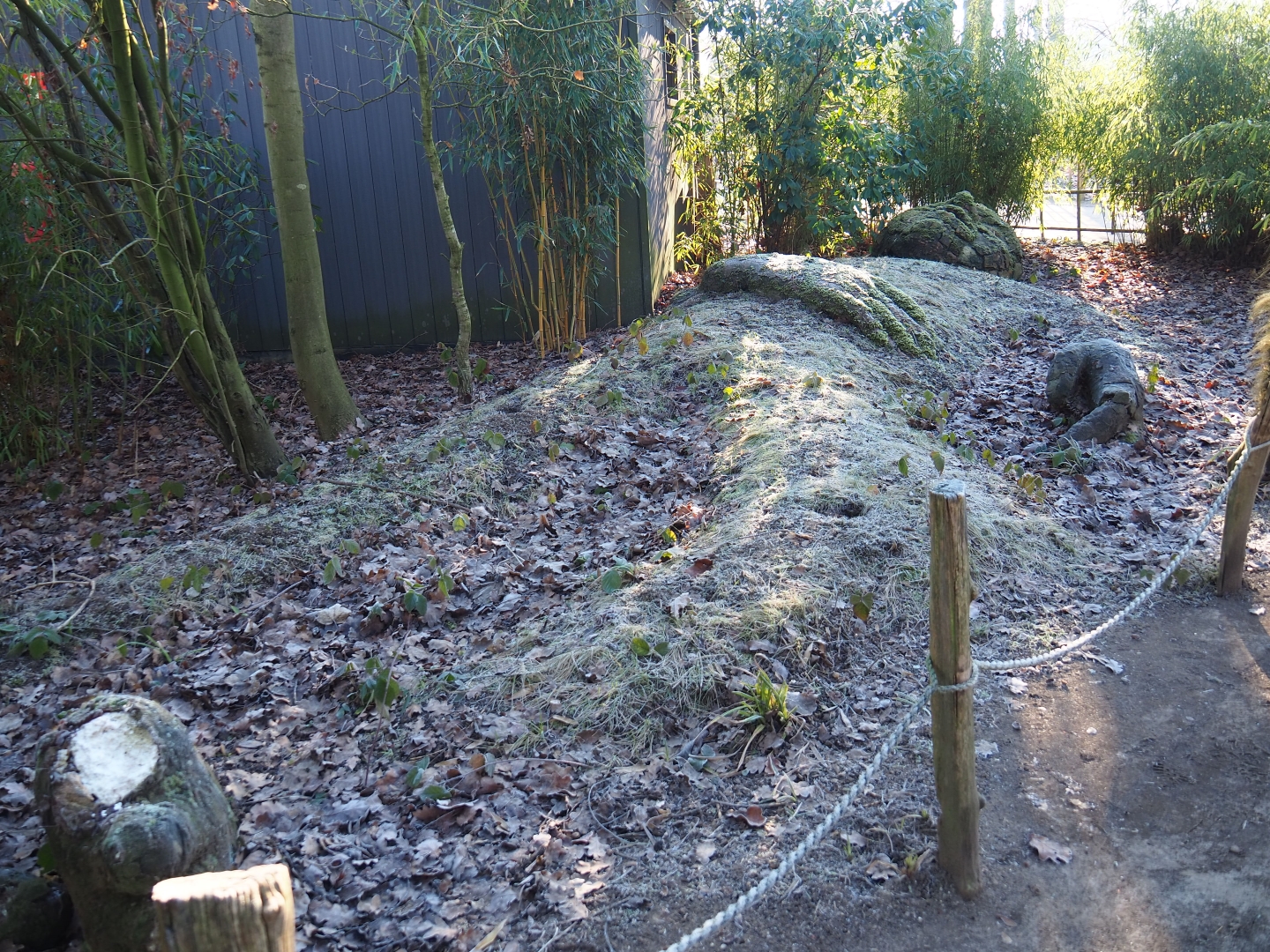 Sleeping giant landscaping (Jan 20th, 2019)