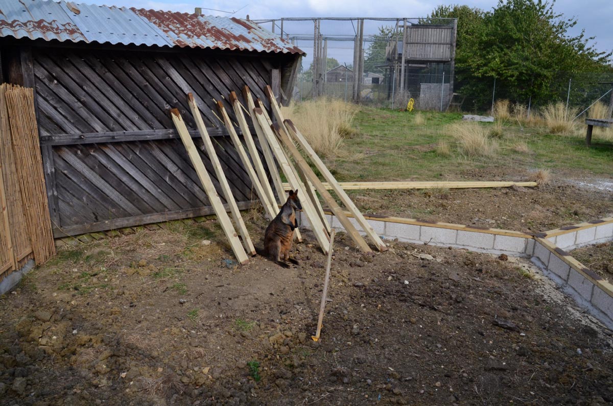 Sleeping on the job!