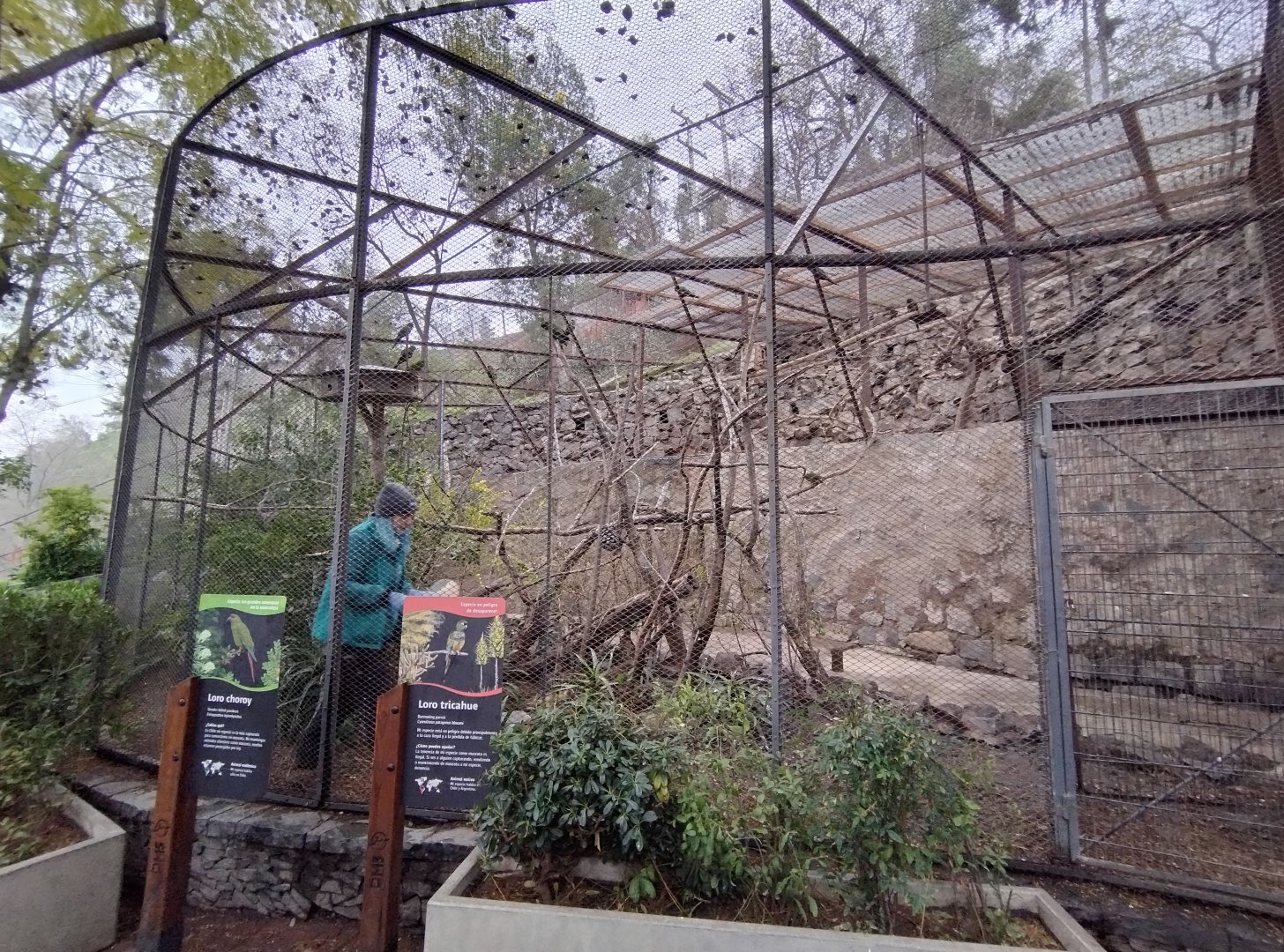 Slender-billed parakeet and burrowing parrot aviaries - Santiago zoo (Zoologico nacional)