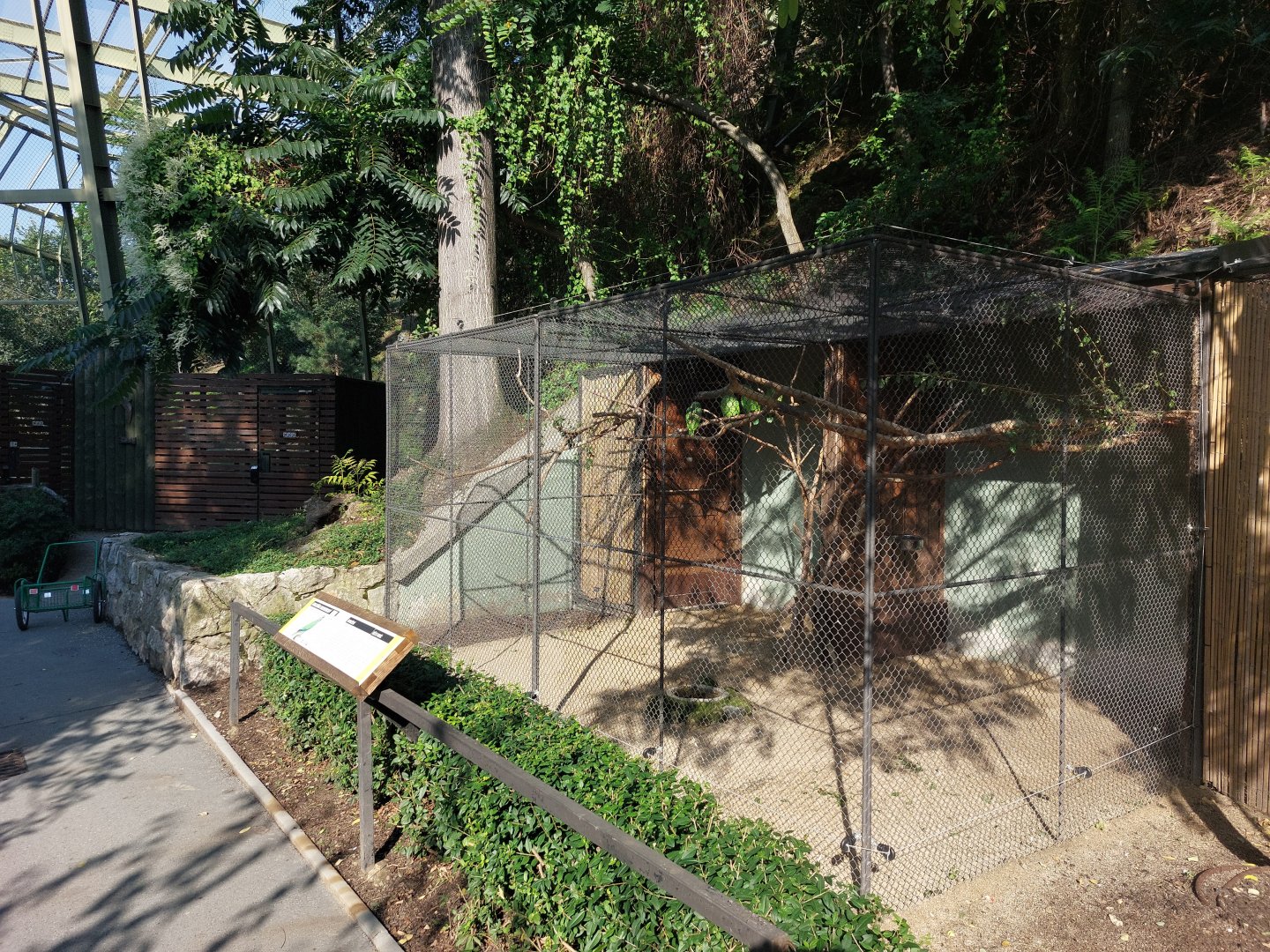 Slender-billed parakeet aviary