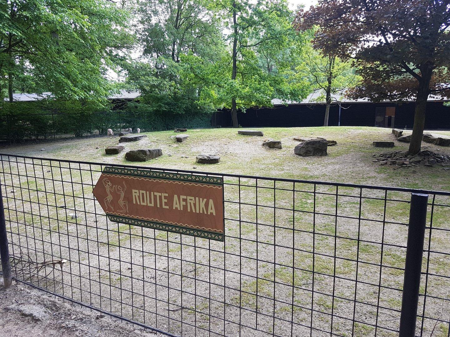 Slender-horned gazelle enclosure