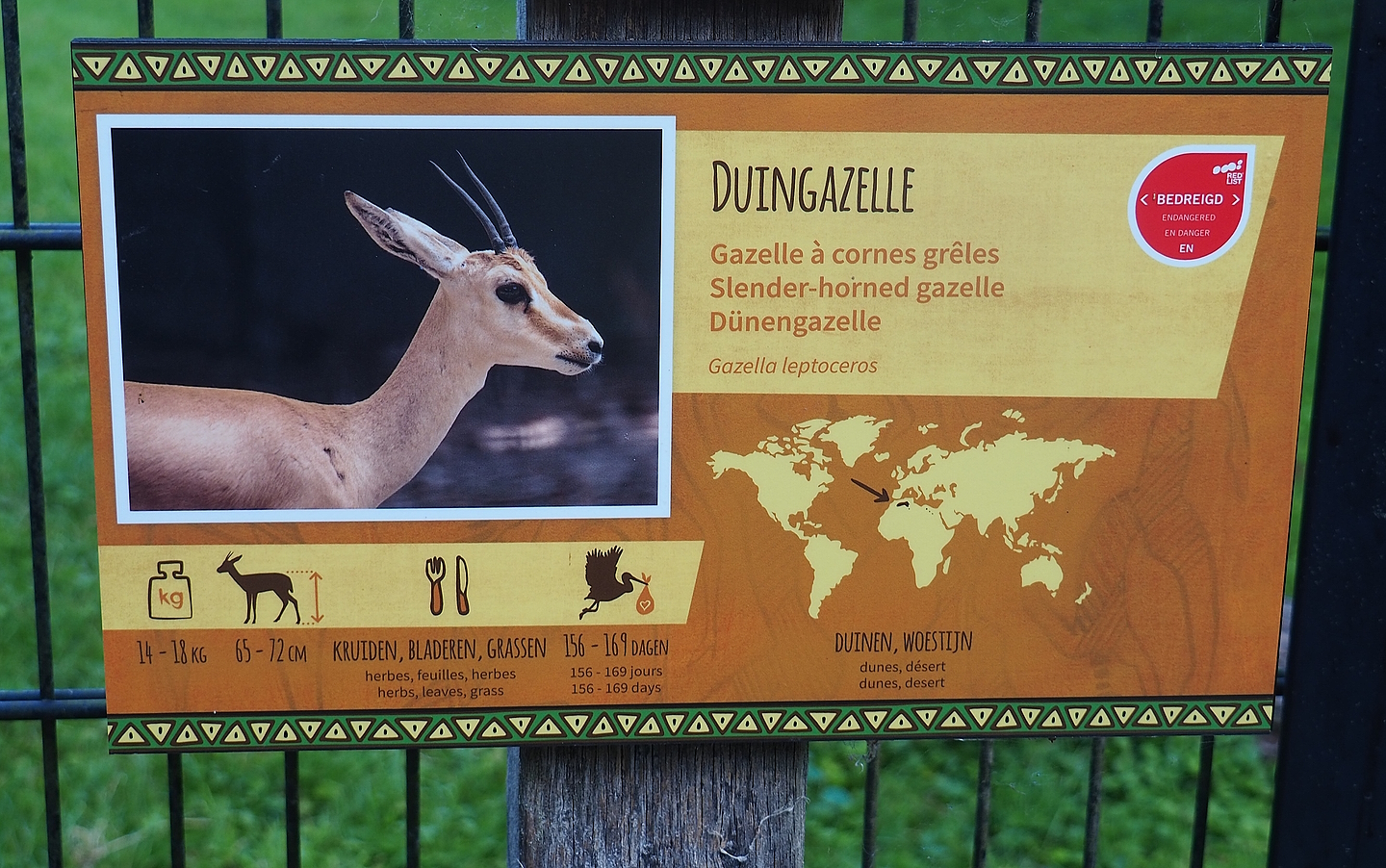 Slender-horned gazelle signage, 2022-07-16