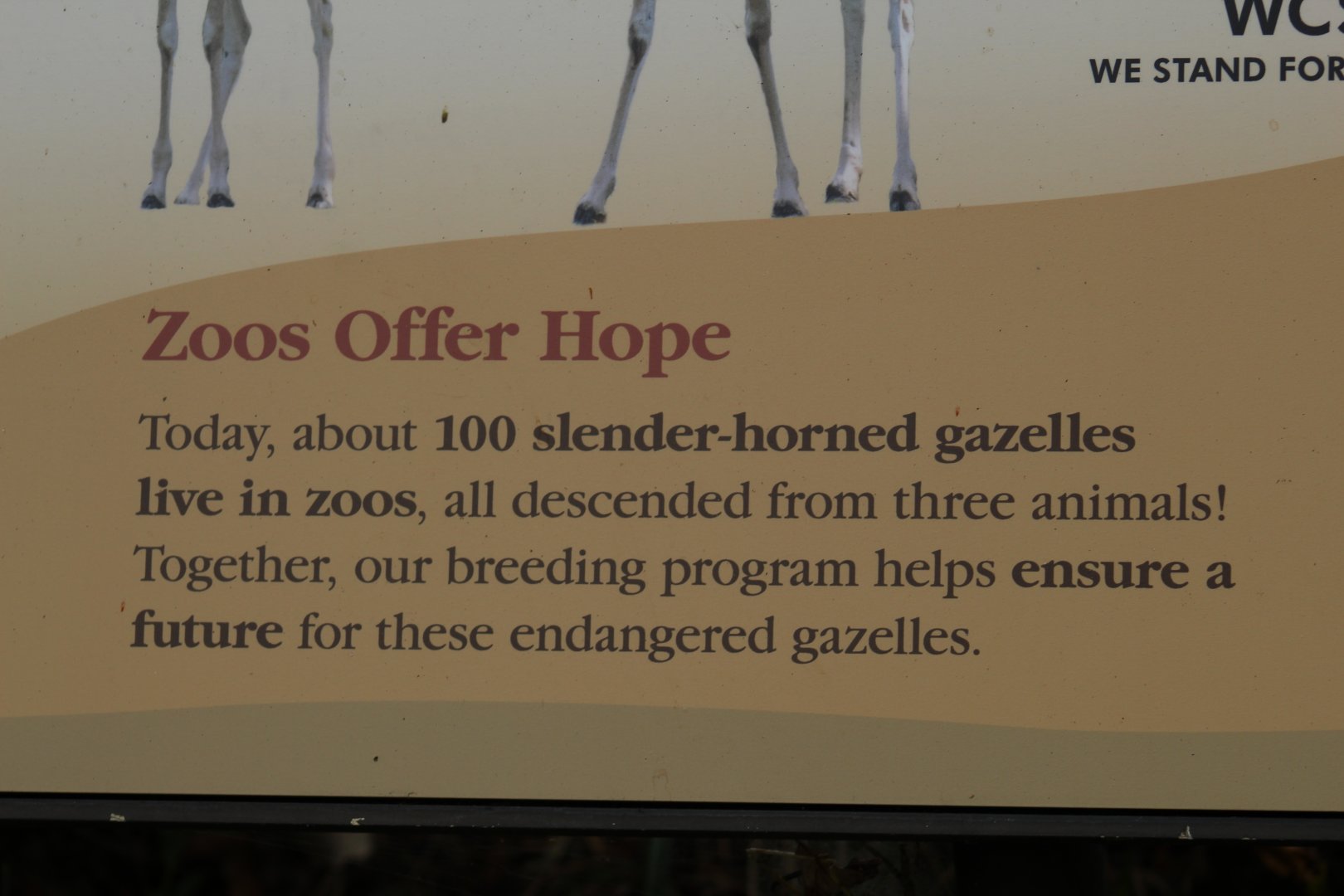 Slender-Horned Gazelle Signage