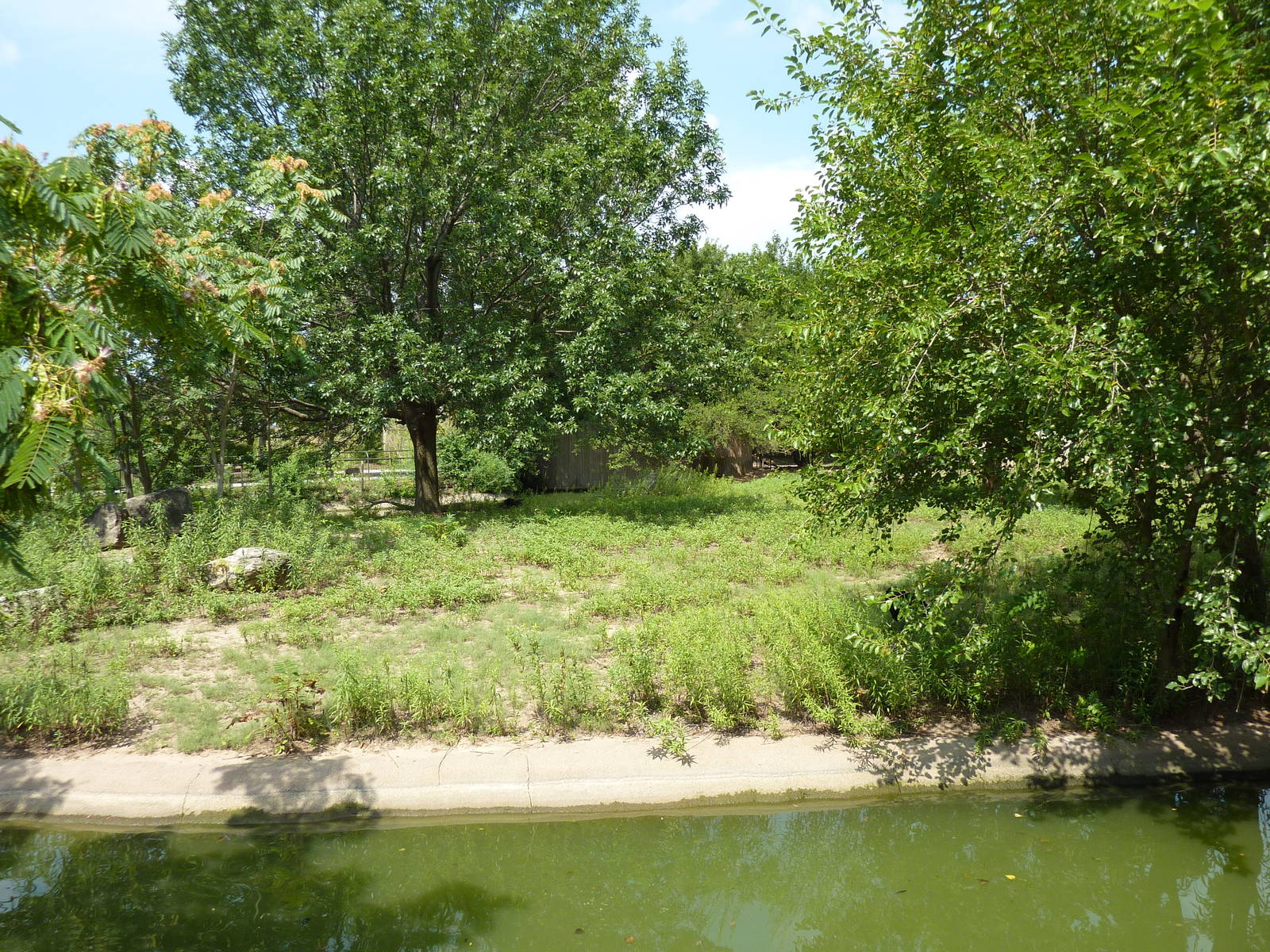 Slender-Horned Gazelle/Warthog Enclosure