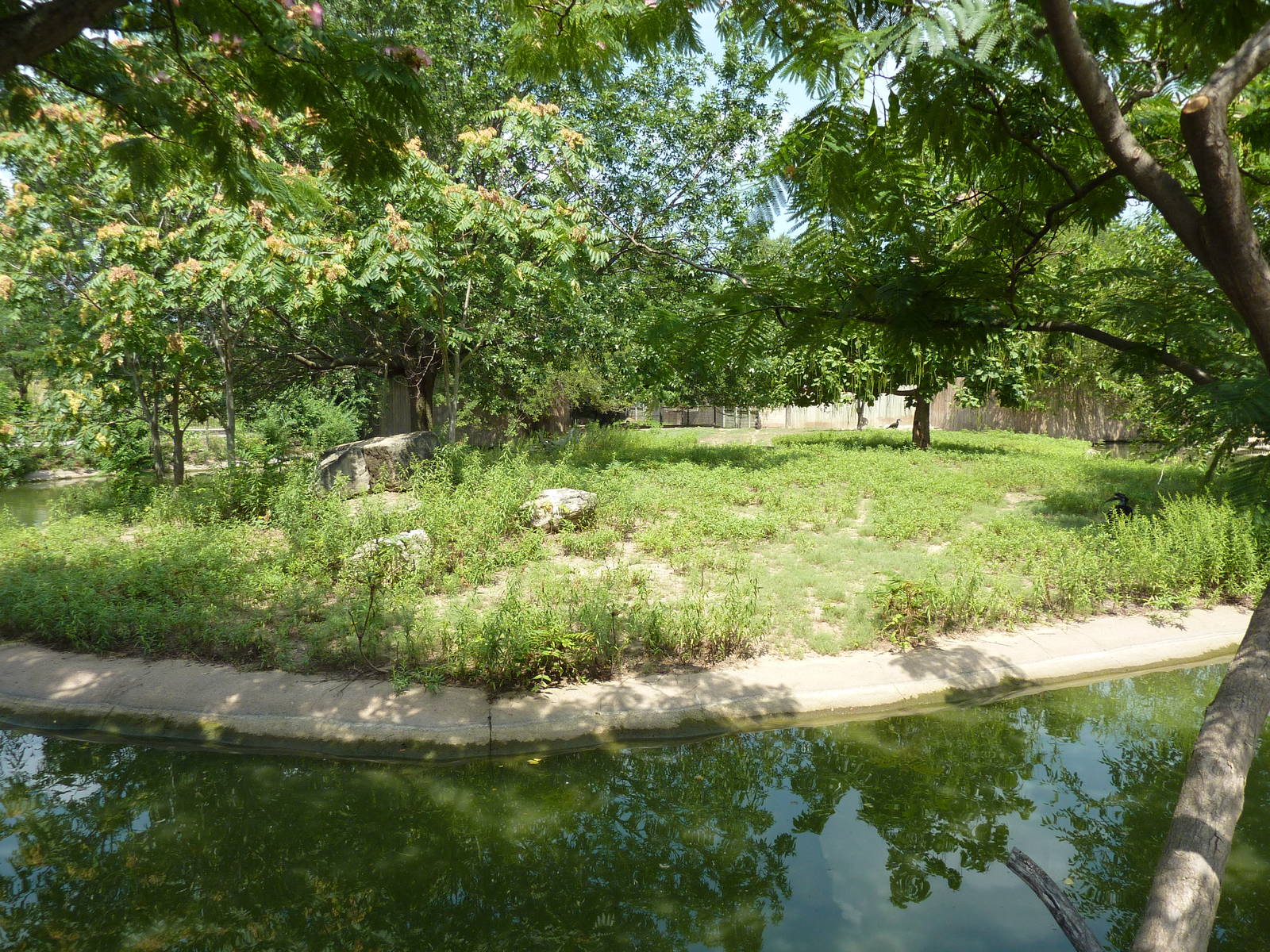 Slender-Horned Gazelle/Warthog Enclosure