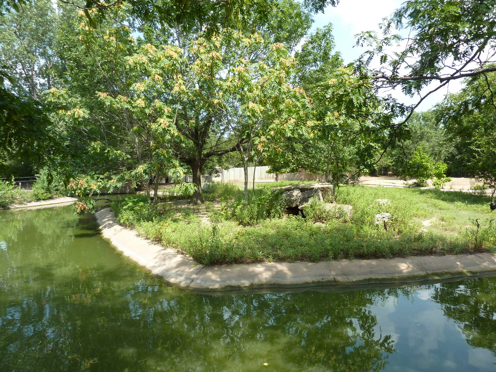 Slender-Horned Gazelle/Warthog Enclosure