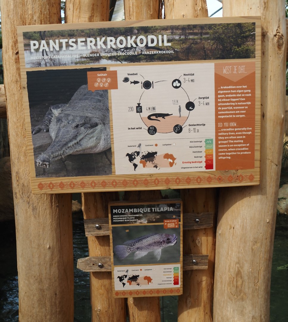 Slender-snouted crocodile and Mozambique tilapia signage, 2024-06-30