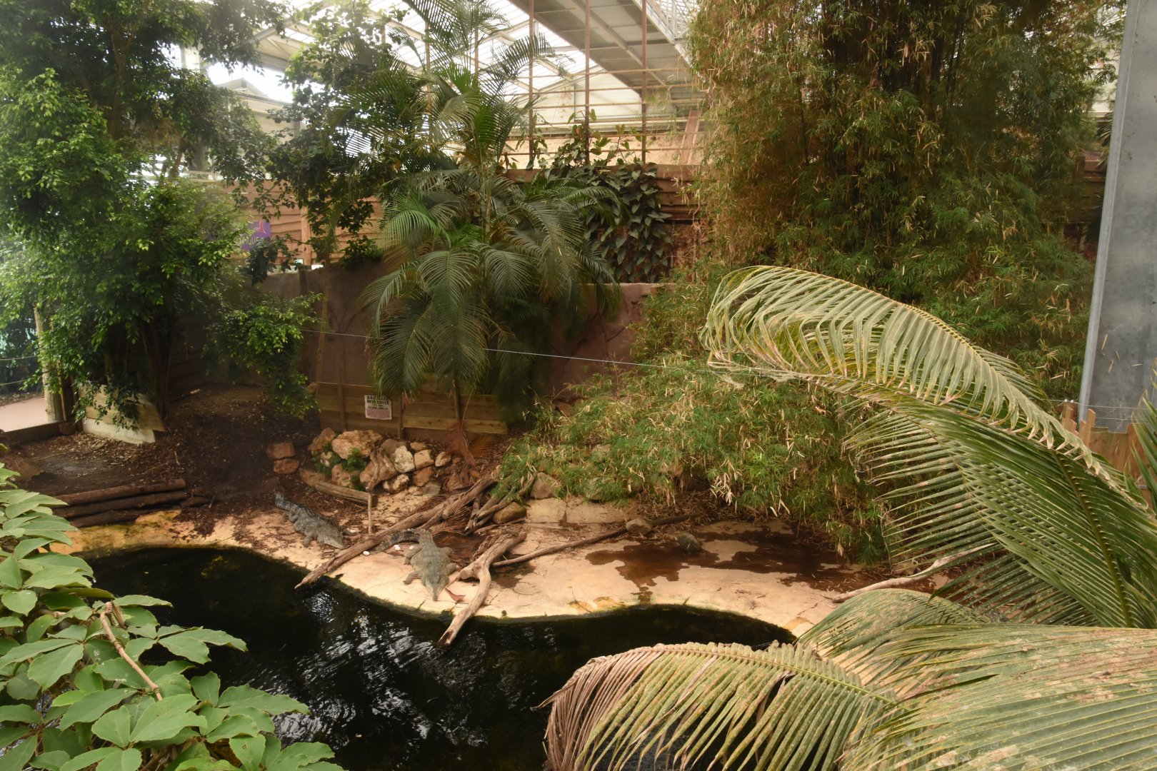 Slender-snouted Crocodile enclosure