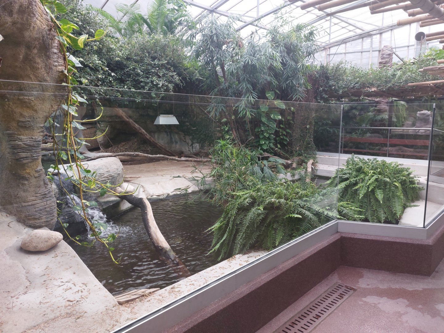 Slender-snouted crocodile enclosure