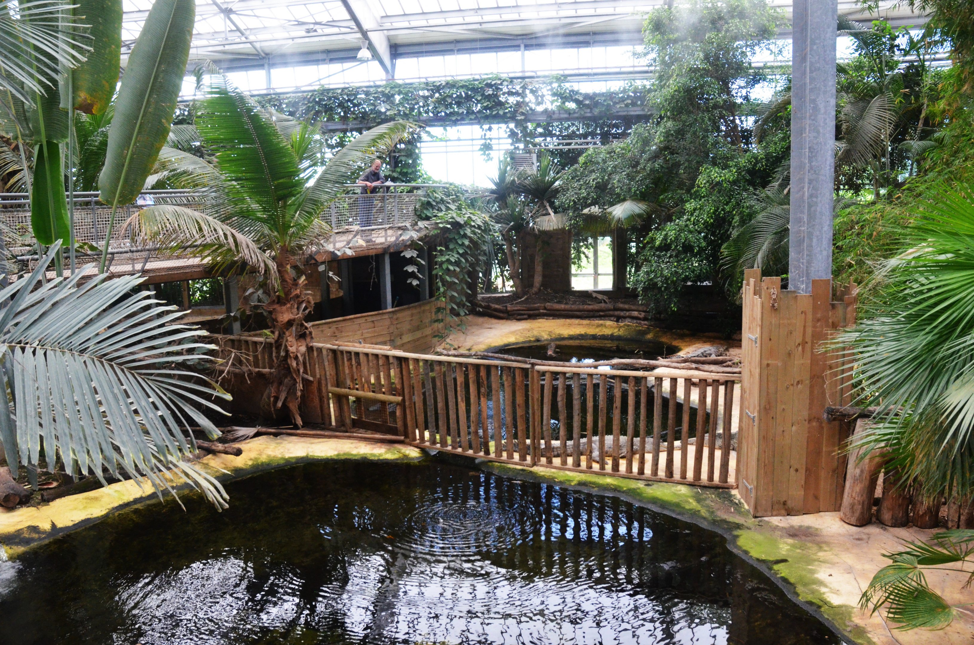 Slender-snouted Crocodile Enclosures at Biotropica, 16/06/18