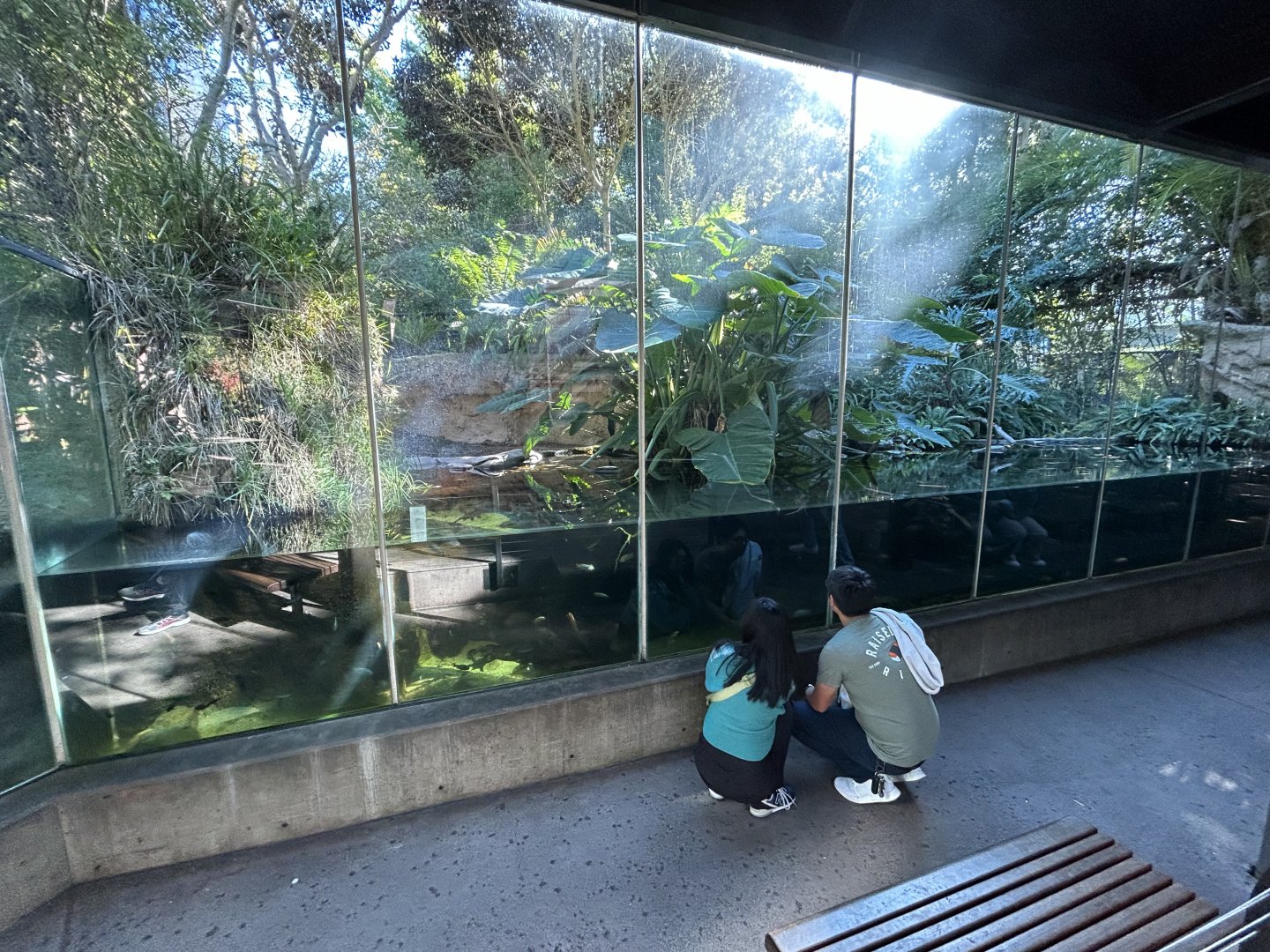 Slender-snouted Crocodile Exhibit - Monkey Trails & Forest Tales