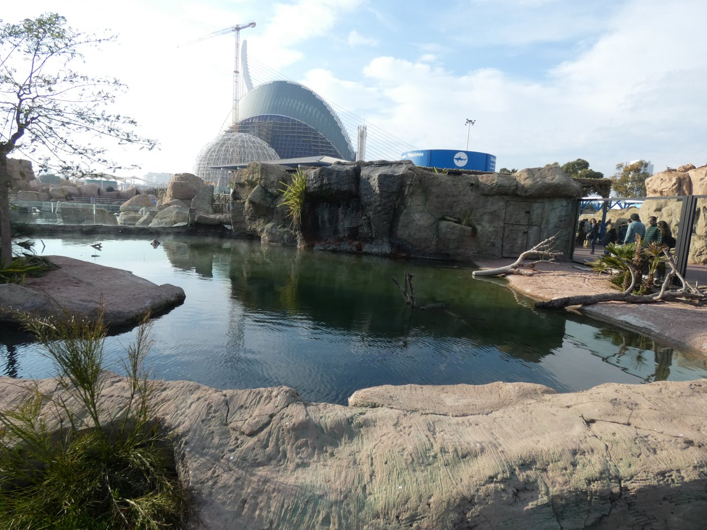 Slender-snouted Crocodile exhibit